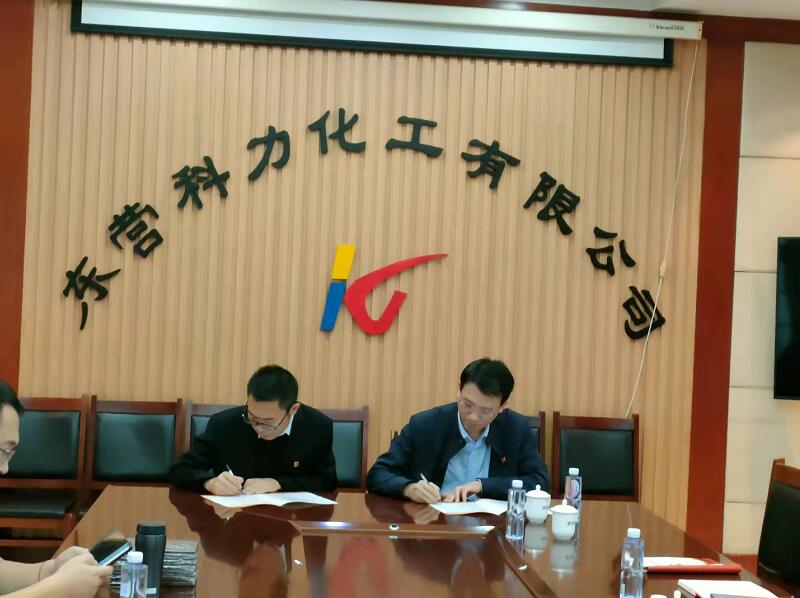 黨建共建 發揮合力 共贏未來