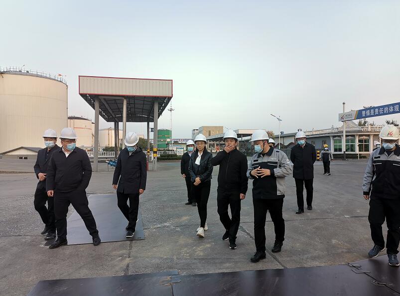 省發改委動能轉換考核處處長張善和一行到我公司實地調研